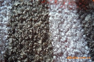 寧波市鄞州邱隘石頁針織廠 匠心織就品質針紡織品