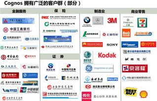 Cognos TM1 慧都網企業管理咨詢推薦的商業績效管理軟件資源教程